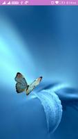 Butterfly Wallpaper Affiche