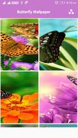 Butterfly Wallpaper скриншот 1