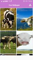 Cow Wallpaper اسکرین شاٹ 1