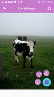 Cow Wallpaper 截圖 2