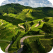 Nature Wallpaper simgesi