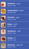 Learn Urdu German Fruits capture d'écran 1