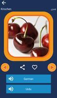 Learn Urdu German Fruits capture d'écran 2