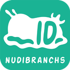 Ocean Life ID - Nudibranchs icône