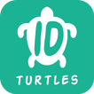 Ocean Life ID - Turtles