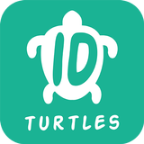 Ocean Life ID - Turtles icône