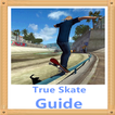 Guide for True Skate
