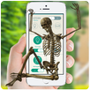Skeleton, zombies on screen APK