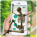 APK Skeleton, zombies on screen