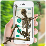 Skeleton, zombies on screen