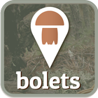 Bolets-icoon