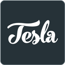 Tesla - The Charging Meter APK