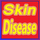 Skin se related sabhi آئیکن