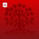 Den Bosch APK