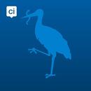 Den Haag App APK
