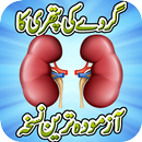 Kidney Stone Treatment Remedy APK