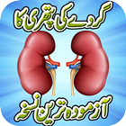 Kidney Stone Treatment Remedy icône