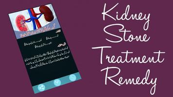Kidney Stone Treatment Remedy capture d'écran 1