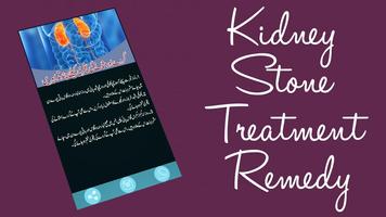 Kidney Stone Treatment Remedy capture d'écran 2