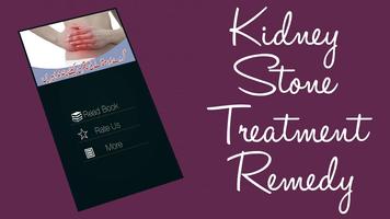 Kidney Stone Treatment Remedy capture d'écran 3