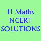 Class 11 Maths NCERT Solution icône