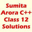 APK Sumita Arora 12th C++ Solution