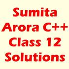 Icona Sumita Arora 12th C++ Solution
