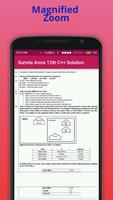 Sumita Arora 12th C++ Solution скриншот 2