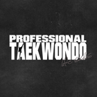 Professional Taekwondo icône