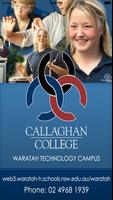 Callaghan College Waratah TC plakat