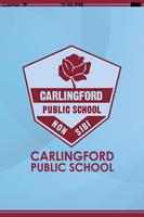 Carlingford Public School 海報