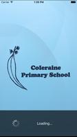 Coleraine Primary School-poster