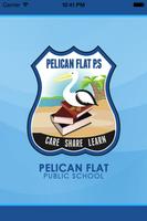 Pelican Flat Public School plakat
