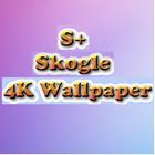 Skogle 4K Wallpaper icône