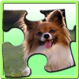 Puzzle game - Jigsaw Puzzle - Animals