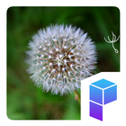 Dandelion Flower Theme icon