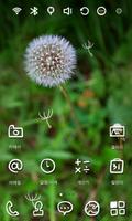 Dandelion Flower Theme screenshot 1