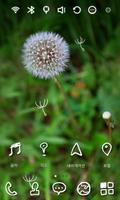 Dandelion Flower Theme screenshot 2