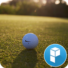 Nike Golf Field launcher theme icône
