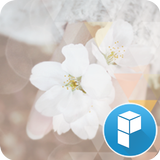 Refreshing spring theme biểu tượng