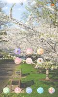 Cherry Blossom Story theme ảnh chụp màn hình 1