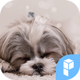 Cutie Puppy Icon Widgetpack biểu tượng