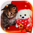 APK Valentine Kitty live wallpaper