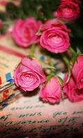 Valentine Roses live wallpaper Cartaz