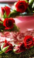 Valentine Roses live wallpaper 스크린샷 1