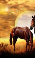 Wild Horses HD live wallpaper Affiche