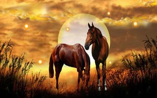 Wild Horses HD live wallpaper imagem de tela 2