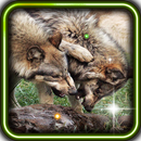 Wolves Sounds live wallpaper APK