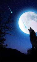Wolf Moon Song live wallpaper الملصق