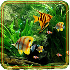 Aquarium Fish 2016 icon